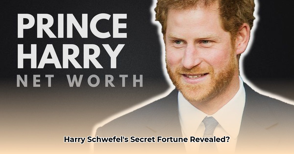 harry-schwefel-net-worth